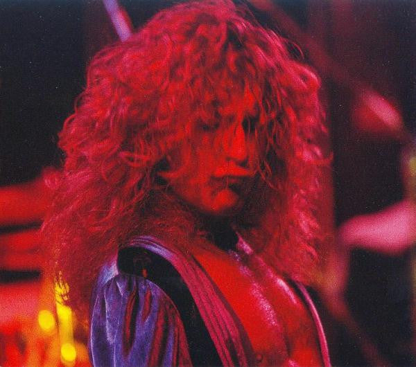 Double Clutch The Diagrams Of Led Zeppelin Out Of Print