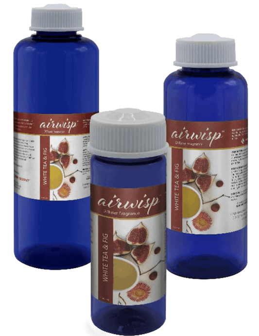 Winter Fir & Balsam - NEW