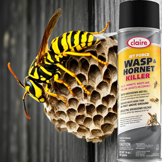 Jet Force Wasp & Hornet Killer
