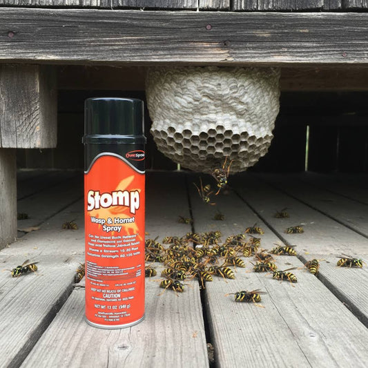 STOMP Wasp & Hornet Spray